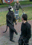 IMGP2640.JPG