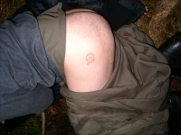 haffi_brand-20041009.jpg